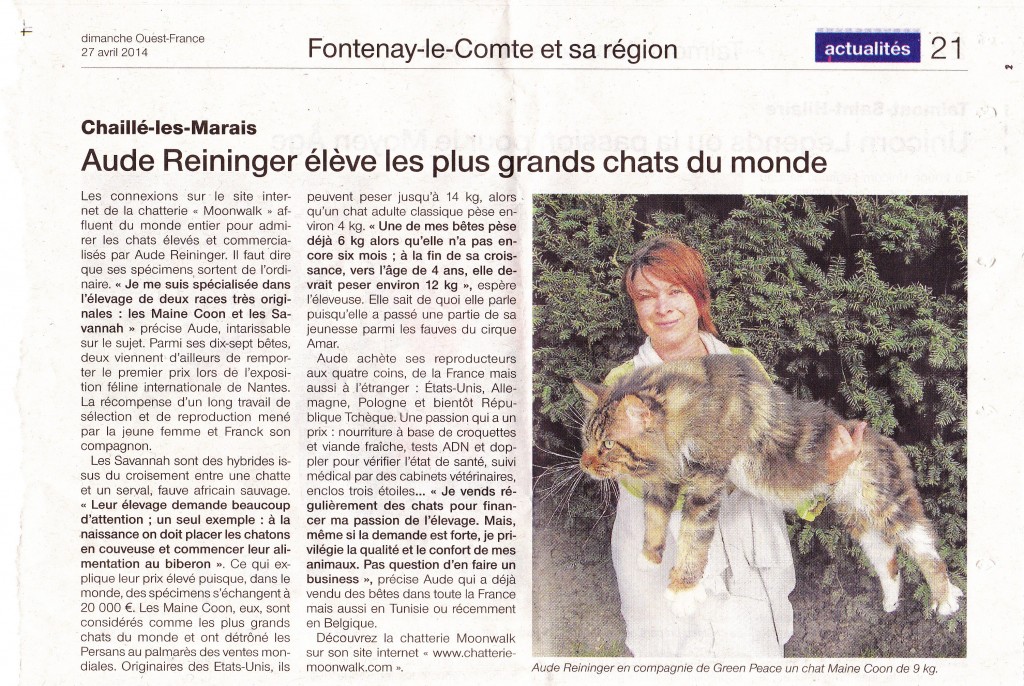 Article de Ouest France sur la chatterie moonwalk