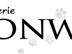 Chatterie Moonwalk - Élevage de Maine Coon et de Savannah