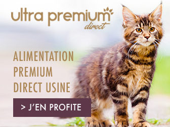 Ultra Premium
