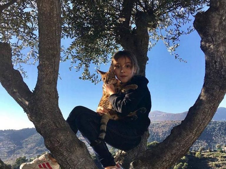 Chaton Savannah F3 - Chatterie Moonwalk