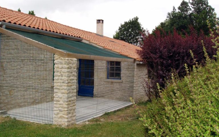 Cour de détente extérieure - Chatterie Moonwalk