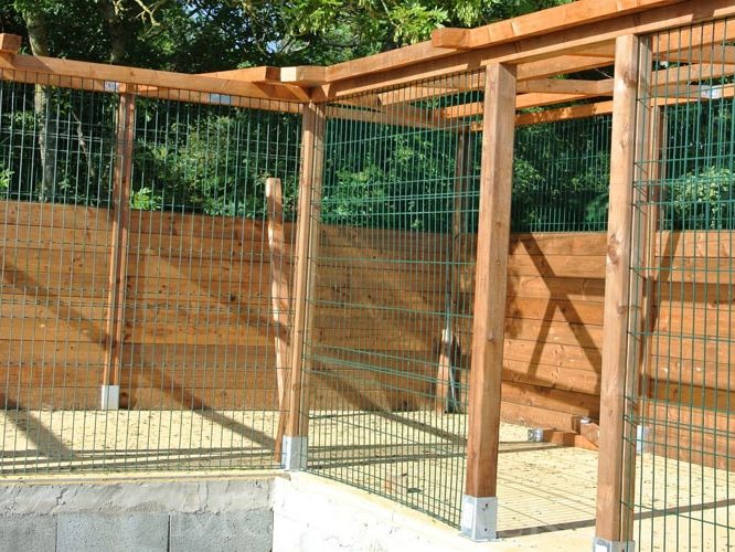 Enclos extérieurs - Chatterie Moonwalk