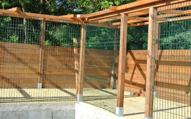 Enclos extérieurs - Chatterie Moonwalk