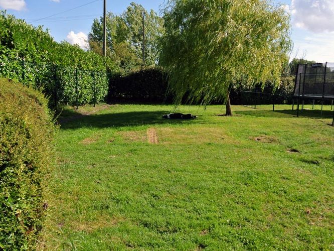 Jardin extérieur - Chatterie Moonwalk