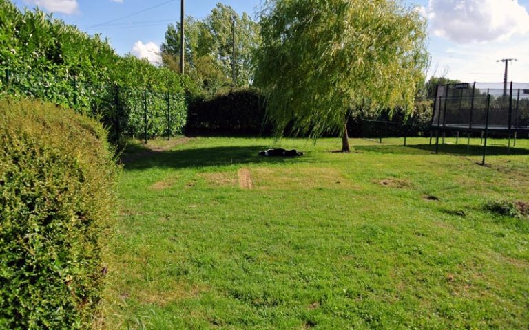 Jardin extérieur - Chatterie Moonwalk