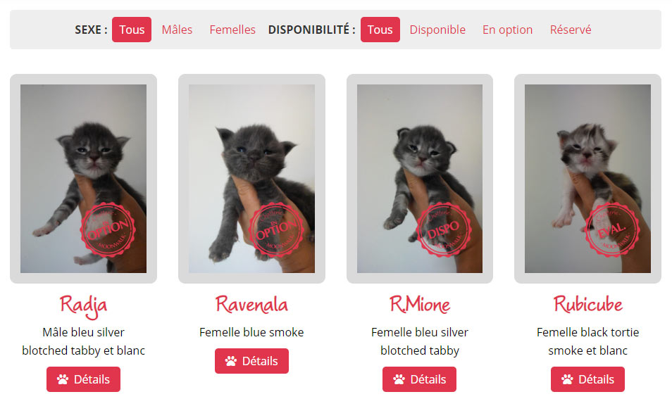 Liste des chatons avec le nouveau système de filtre